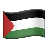 Palestine Flag